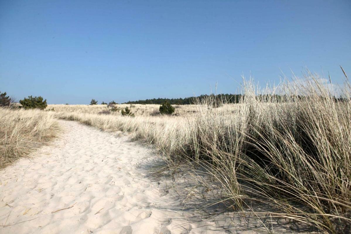 Apartamento La Tulipe Egmond aan den Hoef Exterior foto